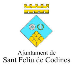 Sant Feliu de Codines